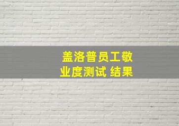 盖洛普员工敬业度测试 结果